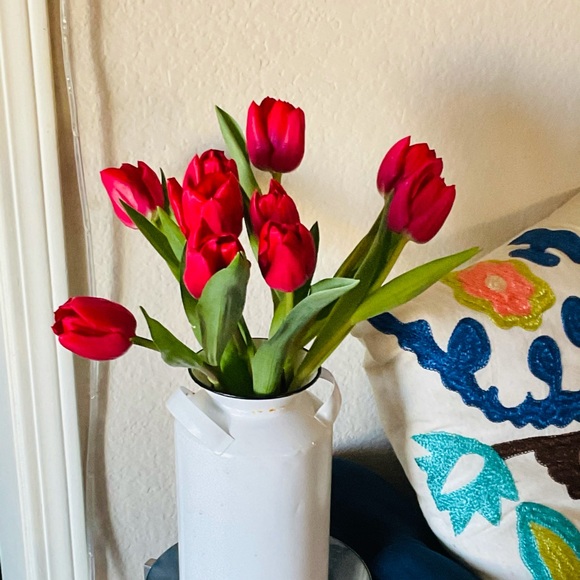 Meet your Posher, Amanda - Picture 6 of 9